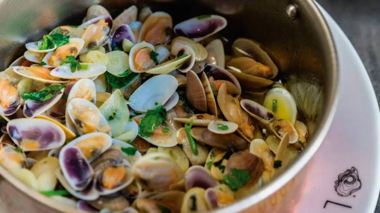 Conquilhas - Costa Vicentina